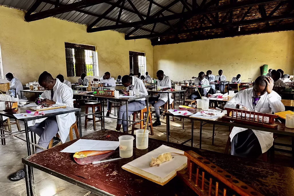 University students studying
